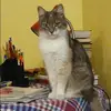 Отзыв от Александра Фадеева